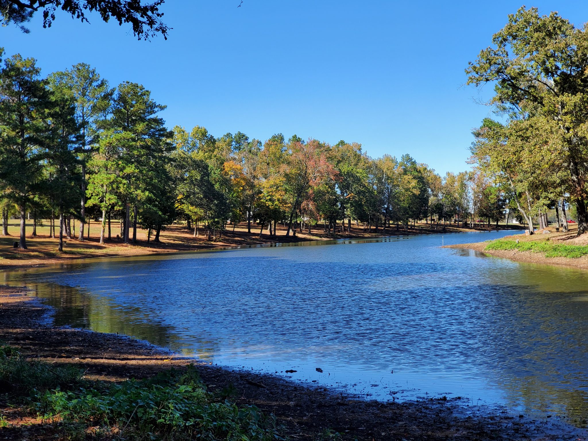 Four Months at Sharon Johnston Park RV with Us