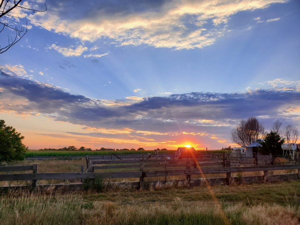 Sunset over Papa Moon Vineyard